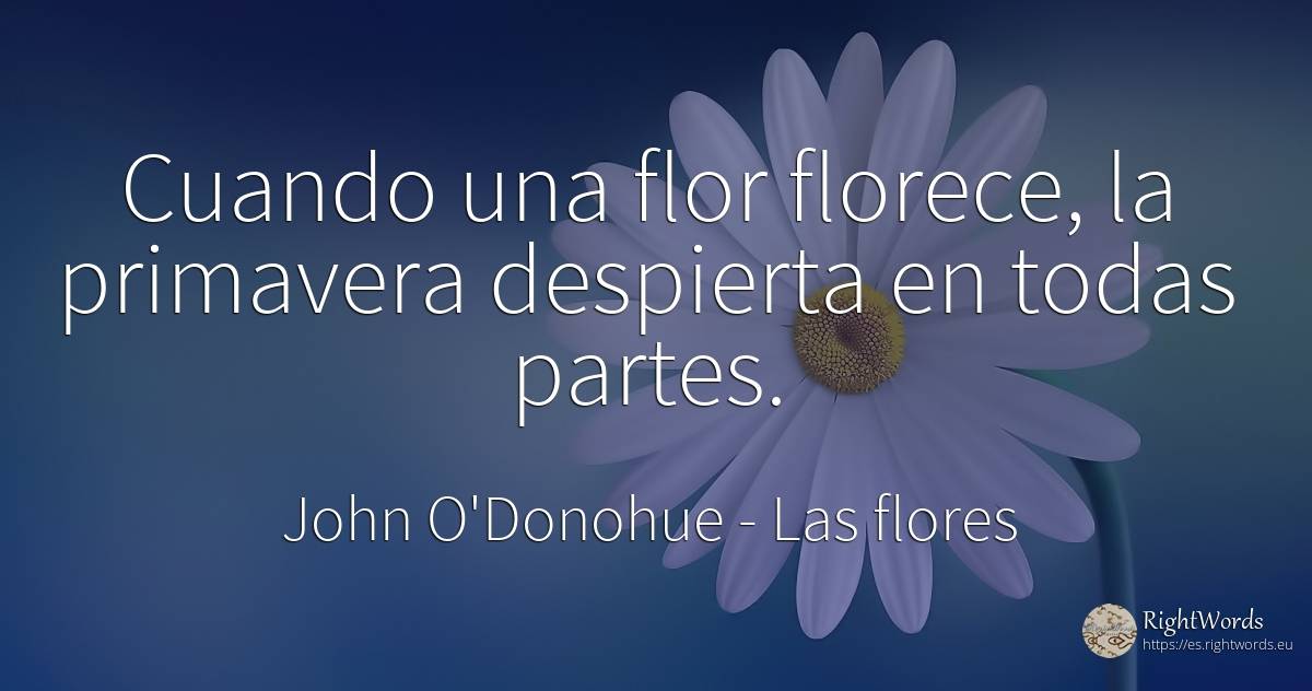 Cuando una flor florece, la primavera despierta en todas... - John O'Donohue, cita sobre las flores