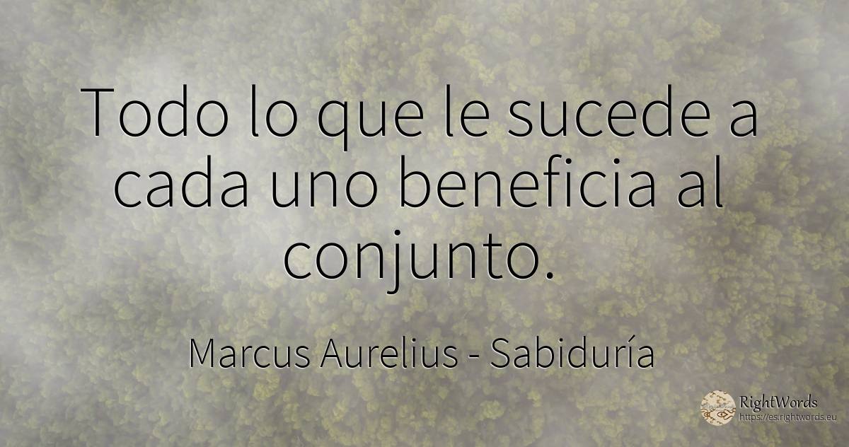 Todo lo que le sucede a cada uno beneficia al conjunto. - Marcus Aurelius (Marcus Catilius Severus), cita sobre sabiduría