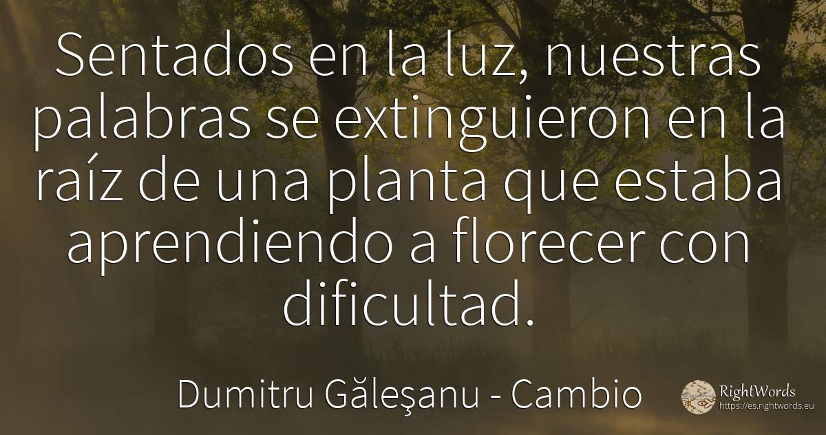 Sentados en la luz - nuestras palabras se extinguían a la... - Dumitru Găleşanu, cita sobre cambio