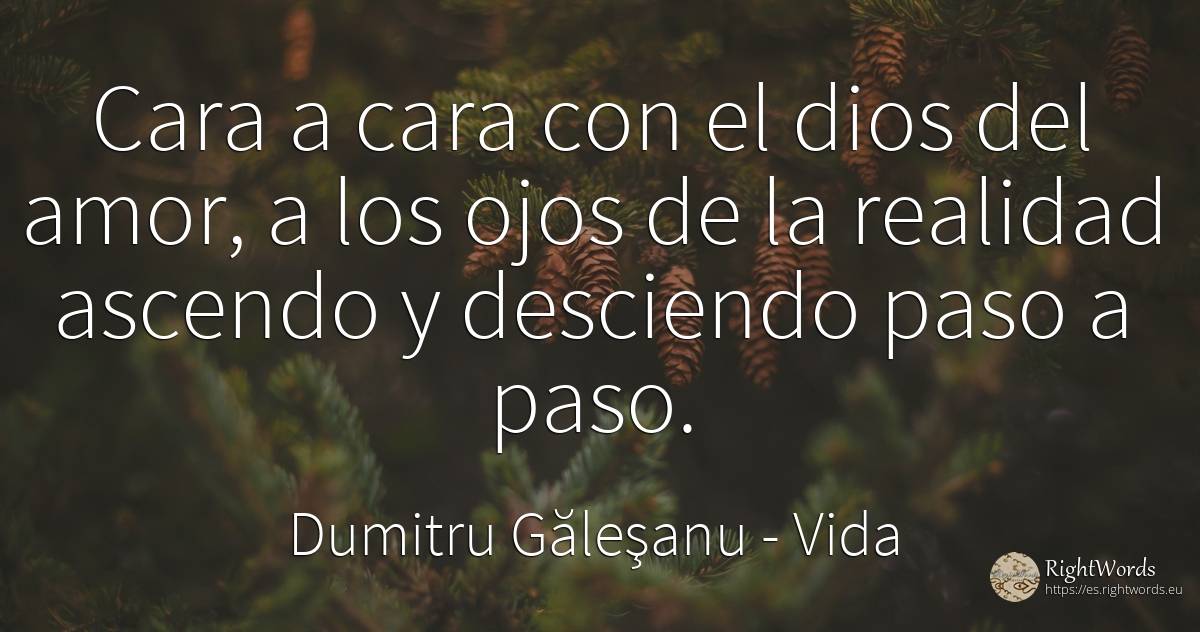 Cara a cara con el dios del amor, a los ojos de la... - Dumitru Găleşanu, cita sobre vida