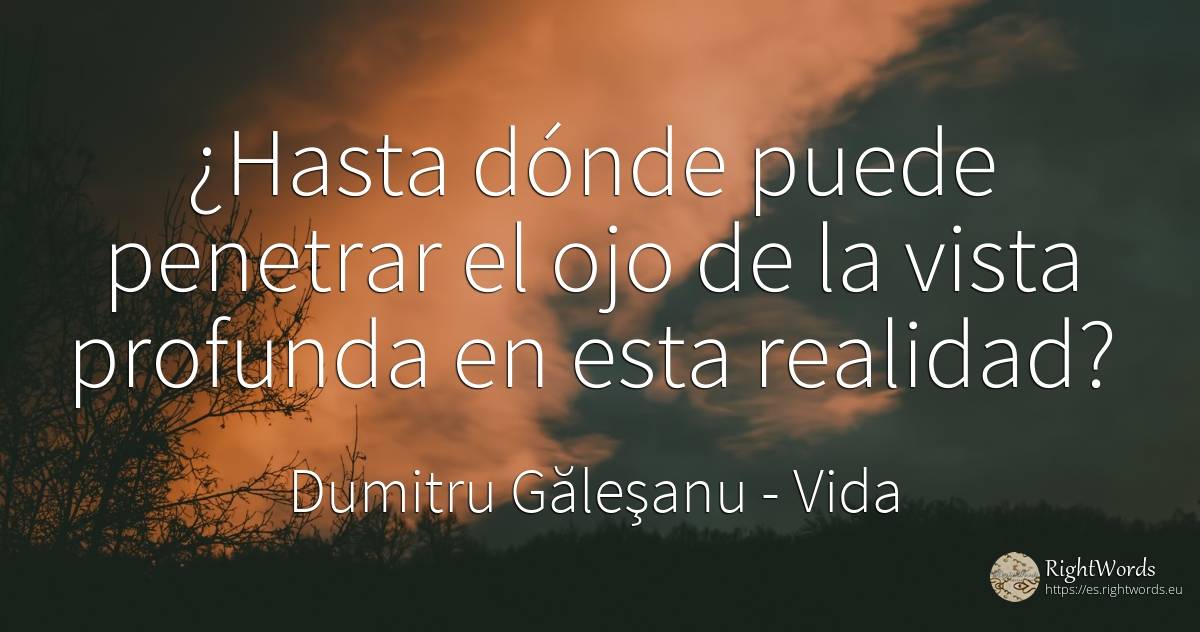 ¿Hasta dónde puede penetrar el ojo de la vista profunda... - Dumitru Găleşanu, cita sobre vida