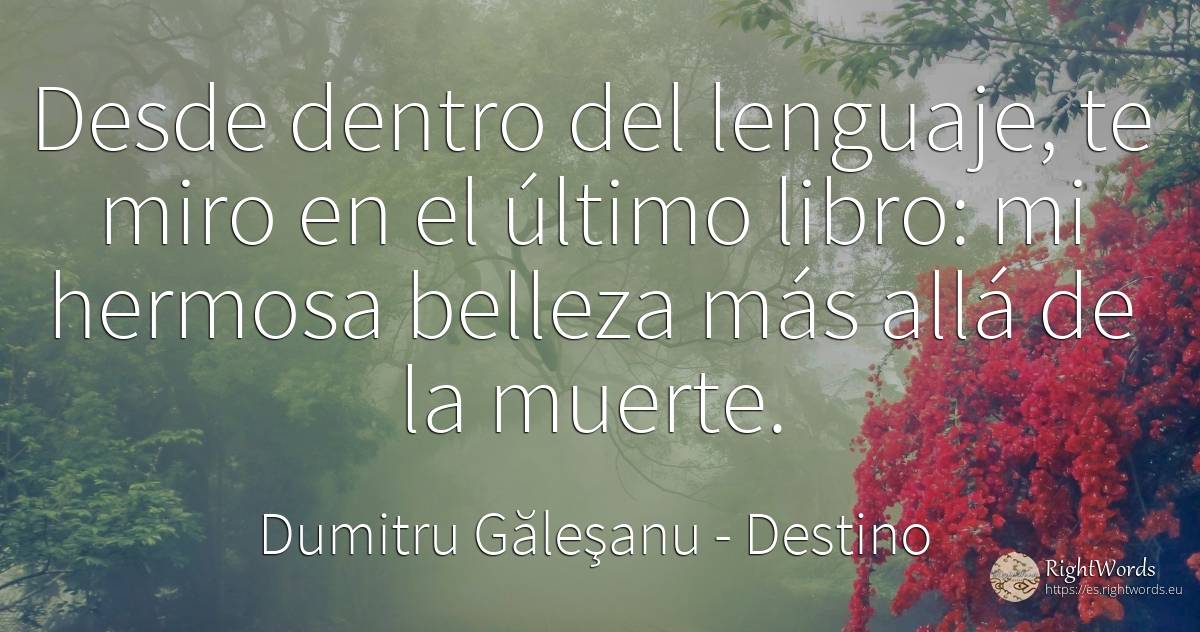 Desde dentro del lenguaje, te miro en el último libro: mi... - Dumitru Găleşanu, cita sobre destino