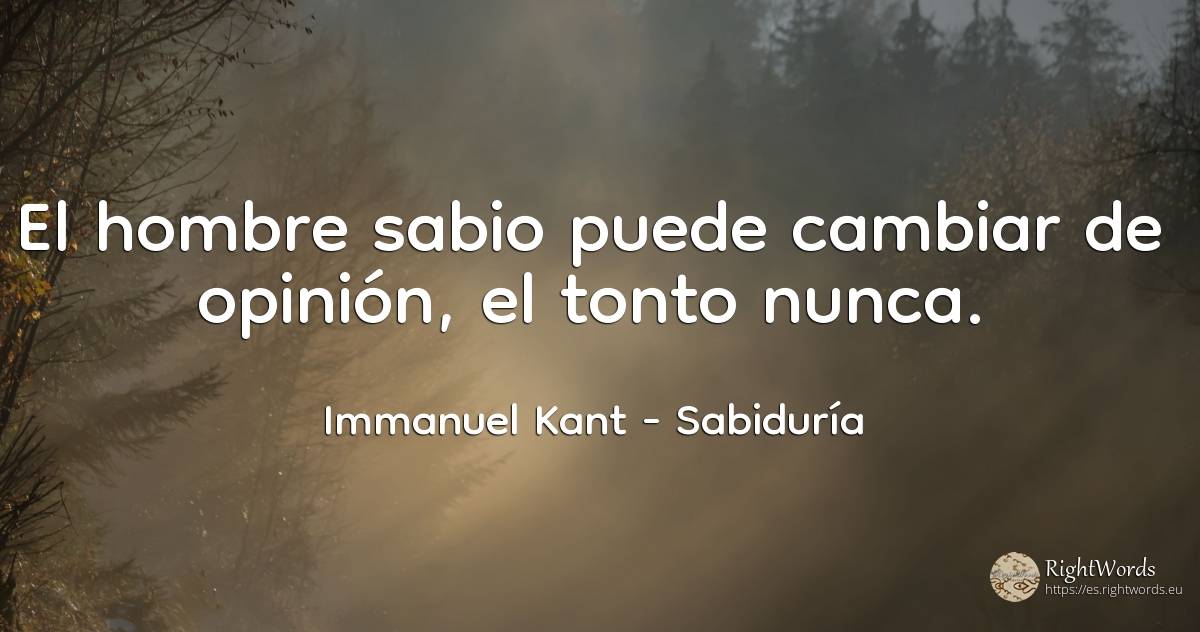 El hombre sabio puede cambiar de opinión, el tonto nunca. - Immanuel Kant, cita sobre sabiduría