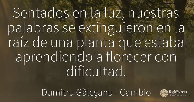 Sentados en la luz - nuestras palabras se extinguían a la... - Dumitru Găleşanu, cita sobre cambio