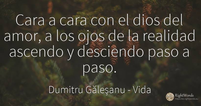 Cara a cara con el dios del amor, a los ojos de la... - Dumitru Găleşanu, cita sobre vida