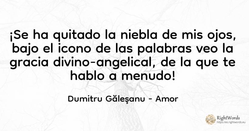 ¡Se ha quitado la niebla de mis ojos, bajo el icono de... - Dumitru Găleşanu, cita sobre amor